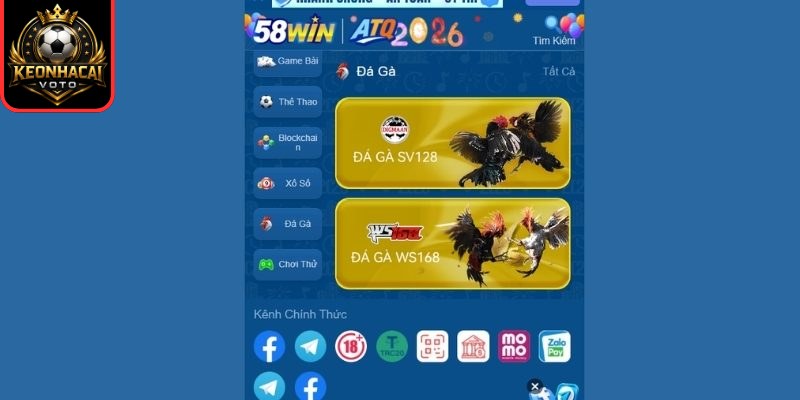 Đá gà trải nghiệm kịch tính