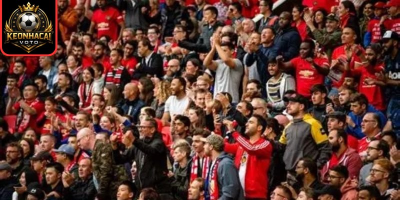 Fan MU gọi là gì?