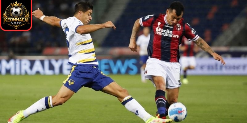 Thông tin lực lượng trận Hellas Verona vs Bologna (00:30 16/01 | Serie A)