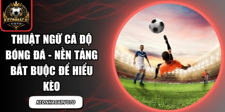 Thuật ngữ cá độ bóng đá