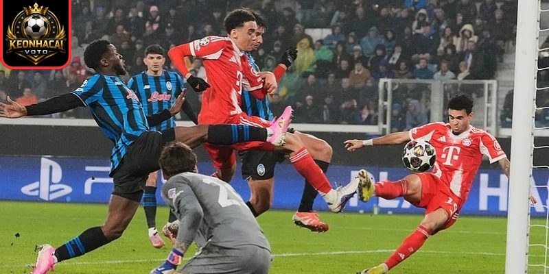 Thông tin lực lượng ra sân Bayern Munich vs Atalanta (03:00 ngày 19/03)