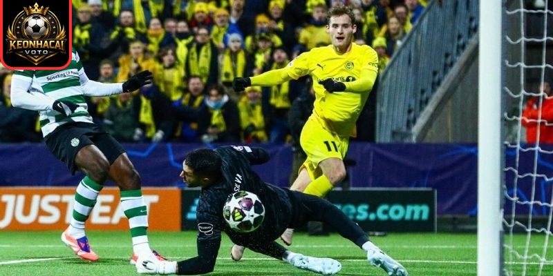 Thông tin lực lượng ra sân Sporting CP vs Bodo Glimt (00:45 ngày 18/03)