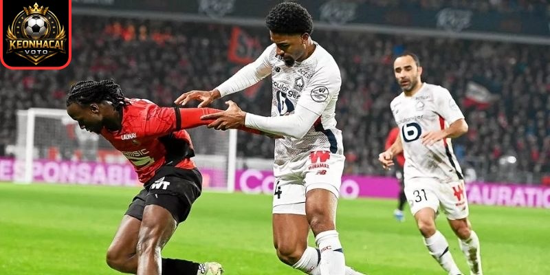 Thông tin lực lượng ra sân Stade Rennais FC vs Lille OSC (02:45 ngày 16/03, Ligue 1)
