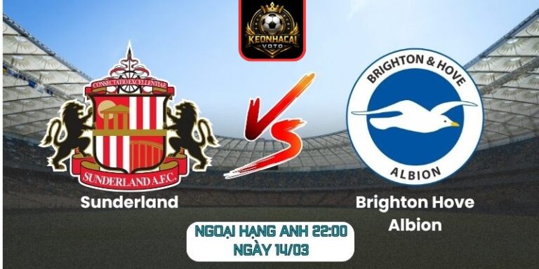 Sunderland vs Brighton Hove Albion