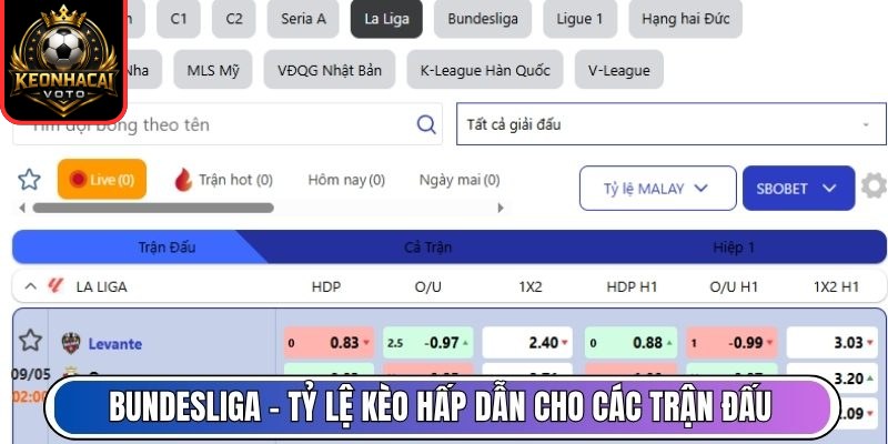 Bundesliga – Tỷ lệ kèo hấp dẫn cho các trận đấu cởi mở