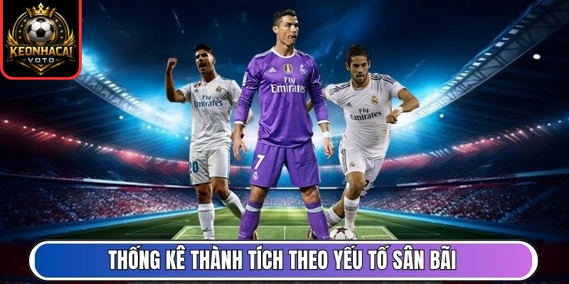 Thống kê thành tích theo yếu tố sân bãi