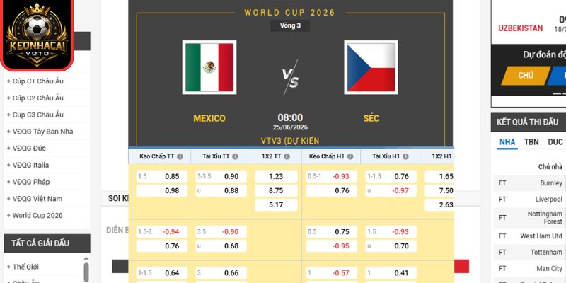 Kèo châu Âu trận Mexico vs CH Séc 08:00 ngày 25/06 (Bảng A - World Cup)